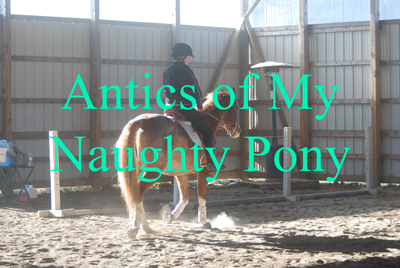 Antics of My Naughty Pony