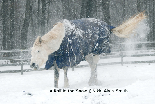 A Roll in the Snow