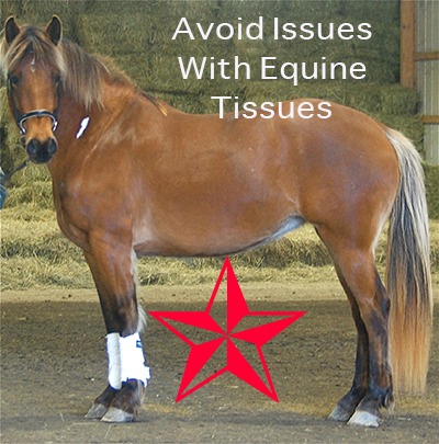 Avoid Issues With Equine Tissues