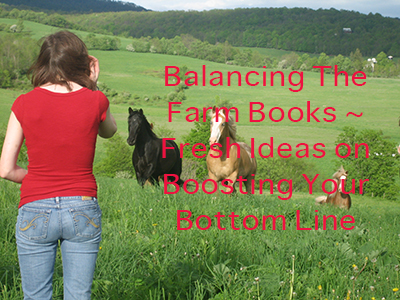 Balancing The Farm Books ~ Fresh Ideas on Boosting Your Bottom Line 